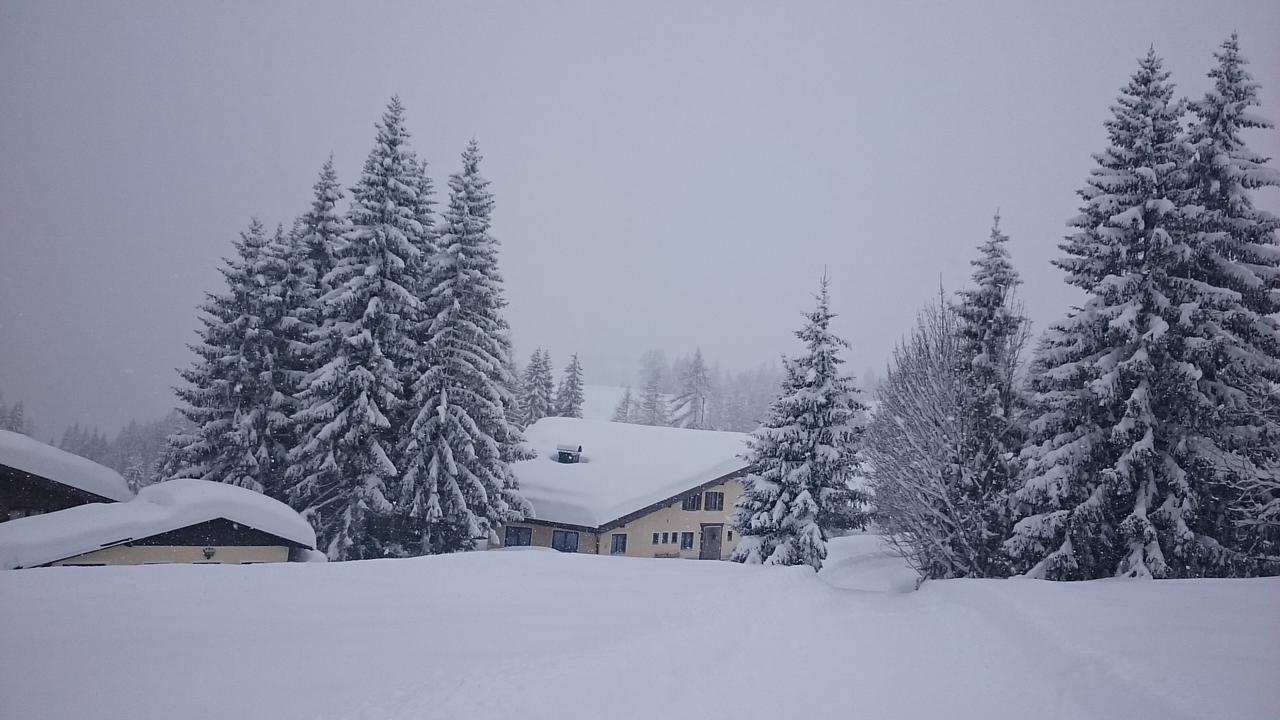 Appartmenthaus Hochkoenig Muhlbach Am Hochkonig Exterior photo