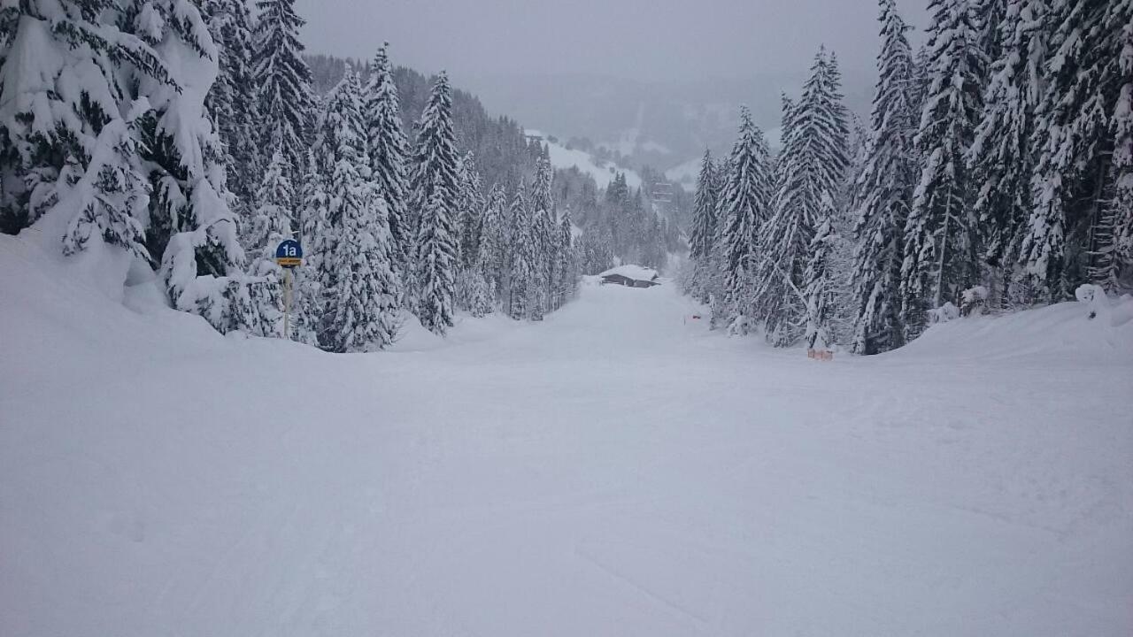 Appartmenthaus Hochkoenig Muhlbach Am Hochkonig Exterior photo